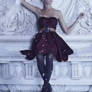 Anthropologie Jacquard Gala dress Mise en Scene by Ruffian size 12